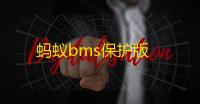 蚂蚁bms保护版